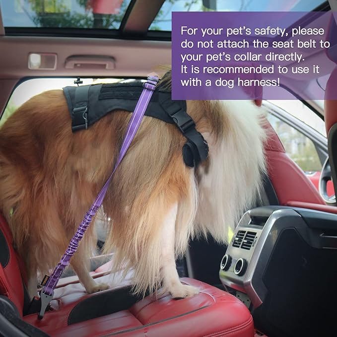 AUBELL Dog Seat Belt for Car,2 Pack Set 3-in-1 Adjustable Reflective Bungee Heavy Duty Dog Car Harness Tether with Clip Hook Latch & Buckle,Swivel Zinc Alloy Carabiner,Black+Purple