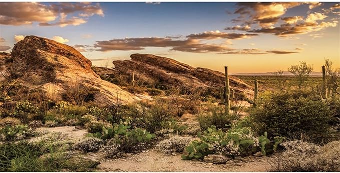 AWERT Reptile Habitat Background Blue Sky Oasis Cactus Sun and Desert Terrarium Background 48x18 inches Durable Polyester Background