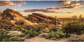AWERT Reptile Habitat Background Blue Sky Oasis Cactus Sun and Desert Terrarium Background 30x18 inches Durable Polyester Background