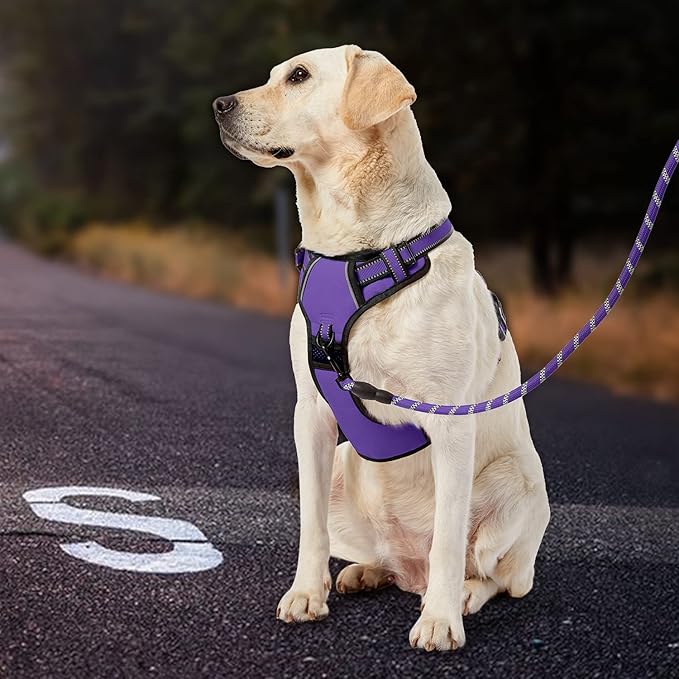 IVY&LANE No Pull Dog Harness for Large Dogs, Dog Vest Harness with Leash, Safety Belt and Storage Strap, Fully Adjustable Harness, 360° Reflective Strip, Soft Handle (Purple, L)