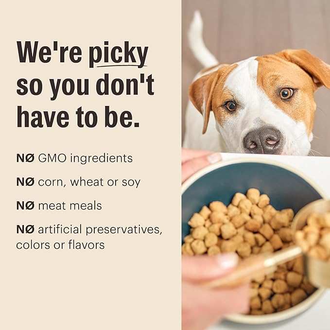 The Honest Kitchen Whole Food Clusters Dog Grain Free Beef 10 lb Bag