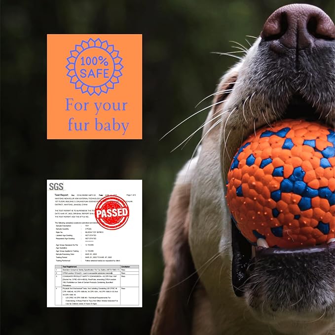 Tough Dog Toys for Aggressive Chewers & Teething Puppies, Bouncy Balls for Medium Dogs, Durable Pet Toys, Floating Dog Balls for Water Play (Orange-Blue-Set)