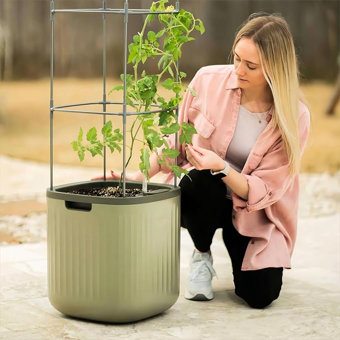 Vego garden Tomato Planter Box with Trellis Self-Watering Rolling Raised Garden Bed for Climbing Vegetables Plants Cage - Sage Green