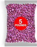 Hygloss Products Craft Rocks, Mini Stones for Art Projects - Bag O' Gravel, Neon Purple, 5 lb