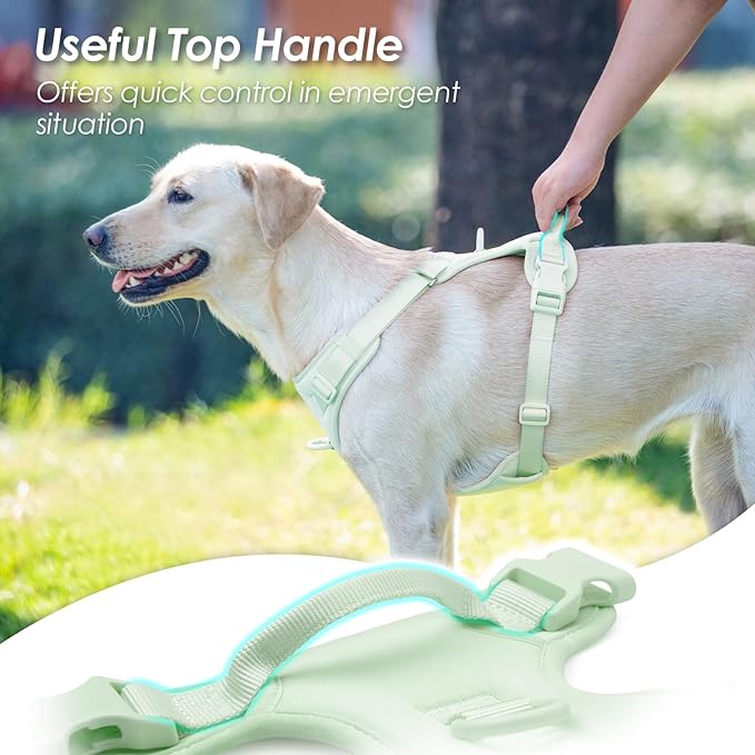 No Pull Dog Harness, Puppy Vest with Front Clip for Small Medium Large Sized Dog(Light Green,XL)