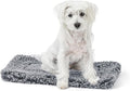 Stoutwool Indestructible Dog Bed - Fluffy Chew Proof Dog Crate Pad - Tough Kennel Pad for Aggressive Chewers - Ideal for Extra Small Breeds & Fits 22-Inch Crate - 21"x12", Charcoal