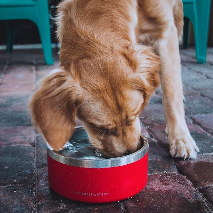 Coldest Dog Bowl - Anti Rust Metal, Non Slip, 3 Layers Insulated Stainless Steel Dog Bowls - Spill Proof & Heavy Duty - Water Bowl for Dogs, Cats & Pets, Dish Washer Safe (21 oz, Stardust Glitter)