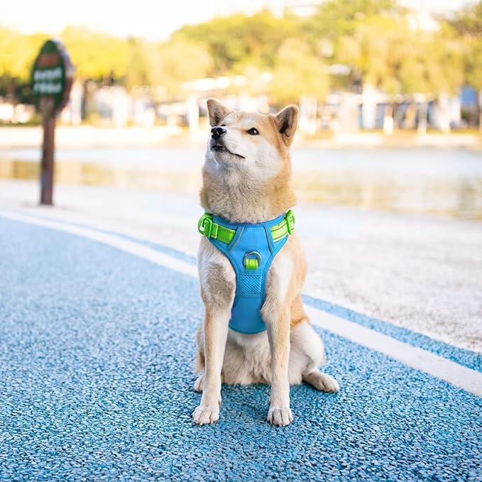 PHOEPET No Pull Dog Harness, Unique Colors Reflective Adjustable Dog Vest, with Soft Training Handle Metal Clips for Small Medium Large Dogs (Blue Base & Green Straps,S)