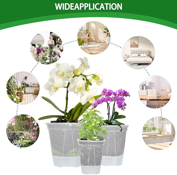 Cdd's Path 6-Pack Self Watering Pots Set with Holes for Indoor/Outdoor Plants,2 Each of 5, 6 and 7 Inch Planter Pot with Watering Hole/Reservior and Air Pipes,Clear