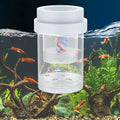 Pawfly Breeder Box for Fish Tank, Aquarium Fish Breeding Box, Floating Guppy Breeder Box, Baby Fish Separator for Aquarium, Plastic Hatchery Incubator Isolation Box for Shrimp Betta Clownfish, Medium