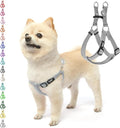 PUPTECK No Pull Dog Harness Soft Adjustable Basic Nylon Step in Puppy Vest Outdoor Walking with ID Tag, Grey, S