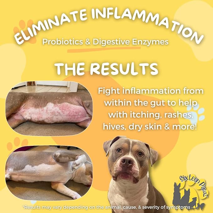 Dog & Cat Probiotics, Prebiotics, & Digestive Enzymes – Flavorless Powder for Gut Health, Allergies, Itchy Skin, Gas & Diarrhea – Organic, Vet-Approved – 65g Bottle (Up to 65 Servings)