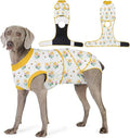 Recovery Suit for Dogs After Surgery, Professional Dog Surgical Suit for Female Spay, Male Neuter, E-Collar & Cone Alternative Dog Onesie for Abdominal Wounds Skin Disease, Yellow, XL