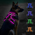 Taglory Light Up Dog Harness, Rechargeable No Pull Dog Vest with 3 Lightning Modes, Reflective Dog Harness with 2 Leash Clips & 4 Adjustable Slide Strips for Large Dogs, Hotpink-Hotpink, XL