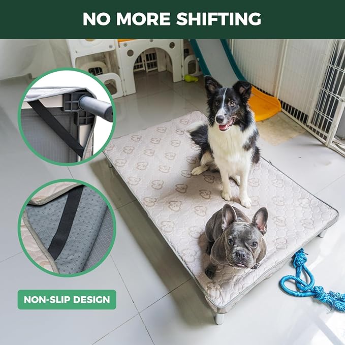 FXW TitanNest Chew-Proof Elevated Dog Bed, Raised Cot for Indoor/Outdoor/Camping Use, Durable & Washable Padded Pet Bed with Exclusive Reuseable Cover for Toy Dogs, 24.0" L x 20.0" W x 4.1" H, Gray