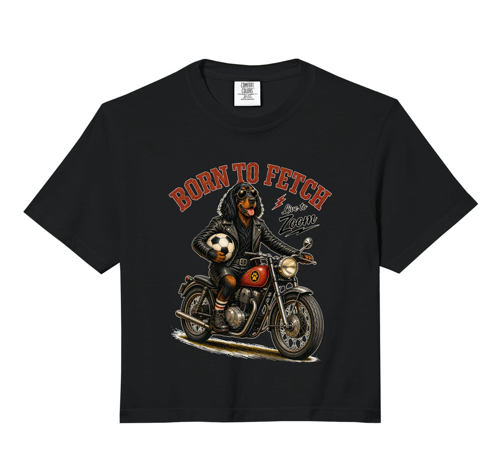 Gordon Setter Motorbike Love Footbal Sweatshirt - Graphic Print Unisex