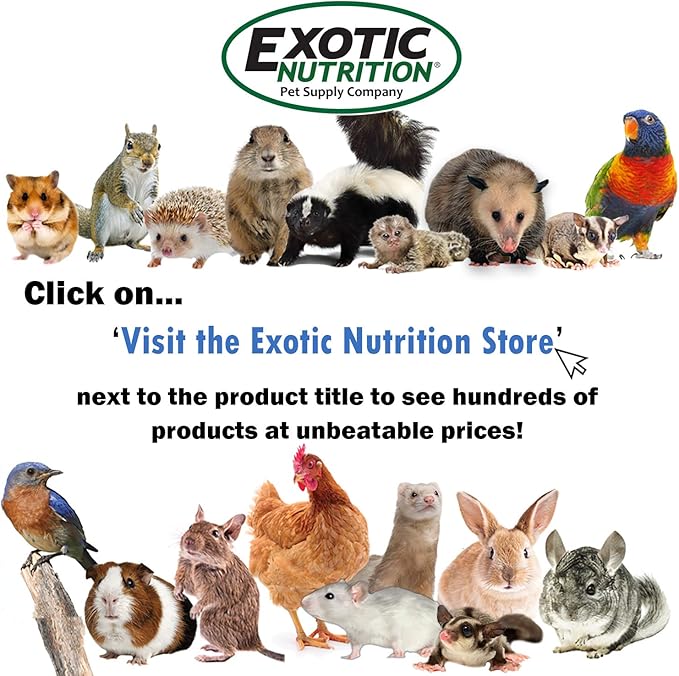 Flower Fusion Treat (1/2 lb) - Healthy Natural Dried Flower Herbivore Treat - Chinchillas, Guinea Pigs, Rabbits, Prairie Dogs, Degus, Hamsters, Rats, Squirrels, Sugar Gliders & Other Small Pets
