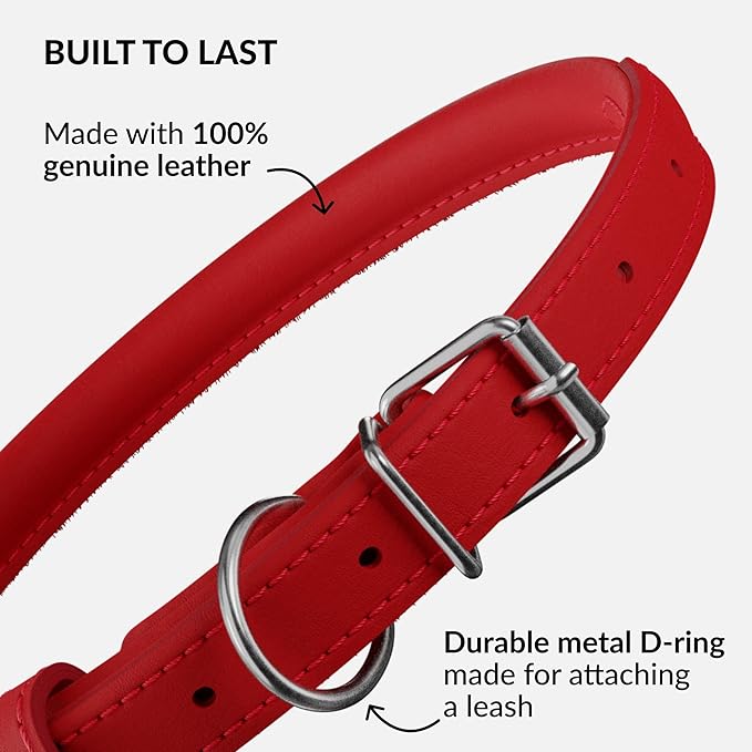 CollarDirect Rolled Leather Dog Collar, Soft Padded Round Puppy Collar, Handmade Genuine Leather Collar Dog Small Large Cat Collars 13 Colors (6 Inch, Red Smooth)