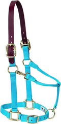 Weaver Equine Breakaway Horse Halter, Supple Leather Crown, Adjustable Chin & Throat Snap Halters for Horses, Equine Tack