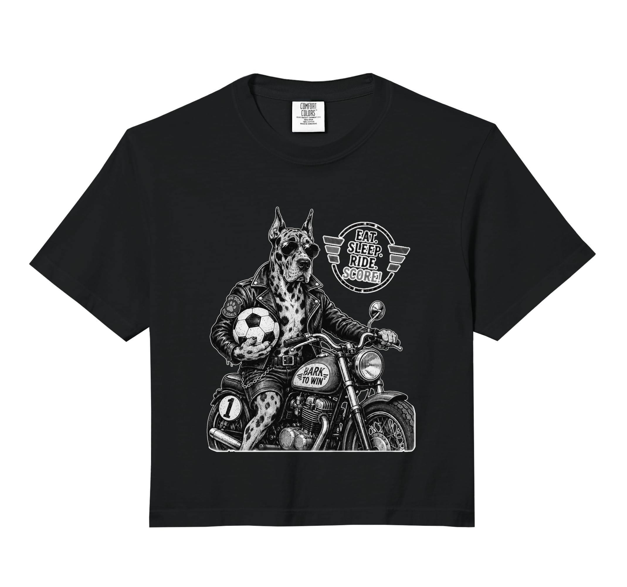 Gordon Setter Motorbike Love Footbal Sweatshirt - Aesthetic Graphic Unisex