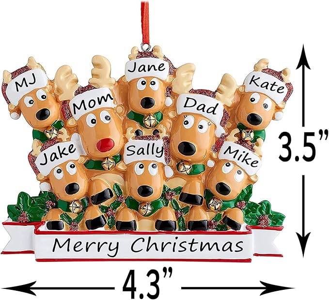Personalized Christmas Ornaments 2025 Family of 2/3/4/5/6/7/8 Deer Christmas Ornaments Custom Name Customized Gifts for Xmas Tree,Family of 5