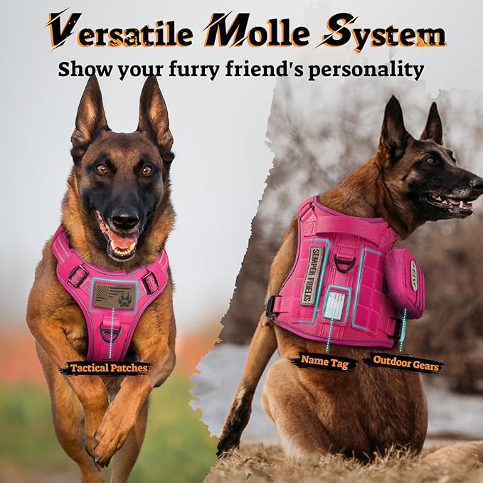 rabbitgoo Dog Harness for Large Dogs No Pull, Tactical Service Pet Vest with Molle and Control Handle, Adjustable and Reflective Military Harness for Easy Walking and Training, Rose Red, XL