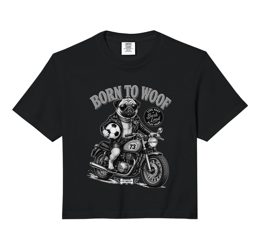 Pug Dog Motorbike Love Footbal Hoodie - Aesthetic Graphic for Adults