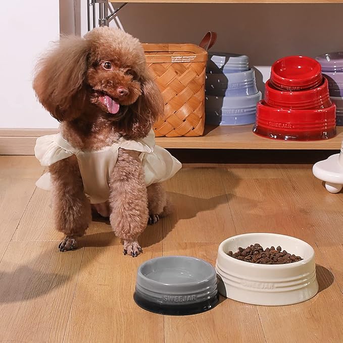 Sweejar Gradient Dog Bowl, Ceramic Dog Food Dish for Puppy and Kitten, Porcelain Pet Bowl for Food and Water 8 oz (Beige)
