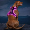 Light Up Dog Harness, No Pull LED Dog Harness with Handle, Rechargeable Lighted Safety Vest for Small Medium Large Dogs, Adjustable Soft Dog Lights for Night Walking