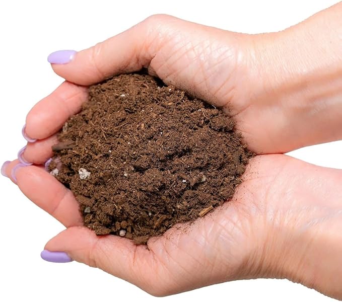 Premium Bamboo Potting Soil Mix - (1 Quart Bag)