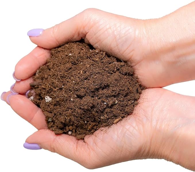 Premium Pothos Potting Soil Mix - Air Cleaning Plant Potting Mix, Soil Mix for Pothos, Parlor Palm, Peace Lily - (5 Quart Bag)