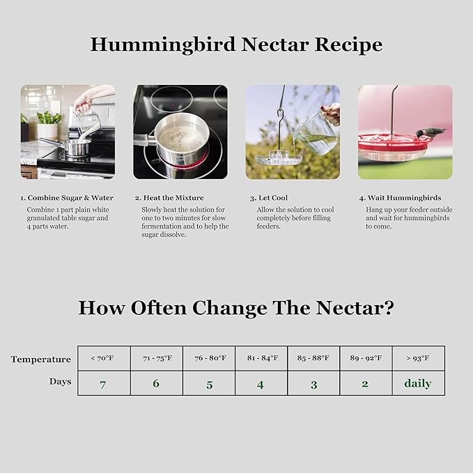 Hummingbird Feeders for Outdoors Hanging - 8 Feeding Ports 16 oz Plastic Hummingbird Feeder, Bee-Proof Leak-Proof No Drip, Easy to Clean with Cleaning Brushes