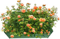 4x4x1ft Metal Raised Garden Bed Kit，Galvanized Garden Bed Box for Vegetables, Flowers, Herbs, and Succulents,120 Gallon Capacity - Green