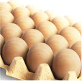 CALPALMY 24 Pieces Wooden Eggs - Life-Size, Reusable Fake Easter Eggs for Painting, Decorating, Crafting, Pretend Play, Faux Food Display, Nest Box Training