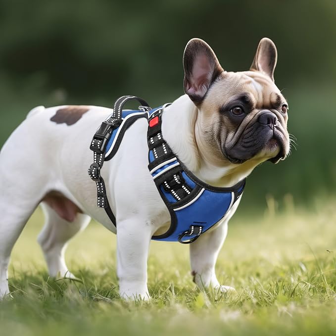 Timos Dog Harness for Medium Dogs, No Pull Service Vest with Reflective Strips and Control Handle,No Choke Dog Harness with 2 Metal Rings for Easy Walking,Outdoor Training,Blue, M