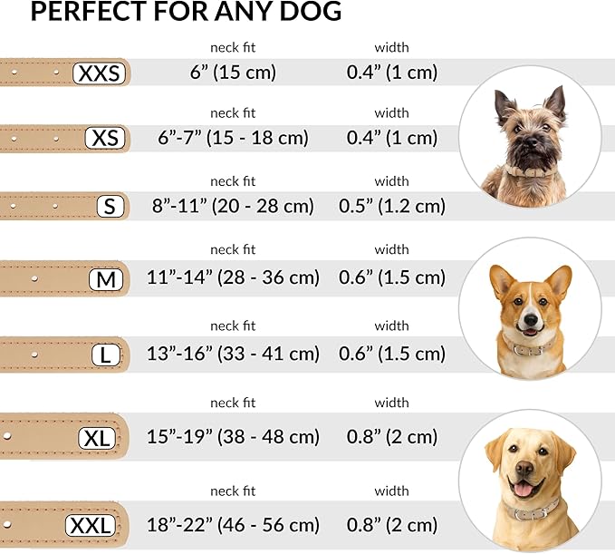 CollarDirect Rolled Leather Dog Collar, Soft Padded Round Puppy Collar, Handmade Genuine Leather Collar Dog Small Large Cat Collars 13 Colors (18-22 Inch, Beige Smooth)