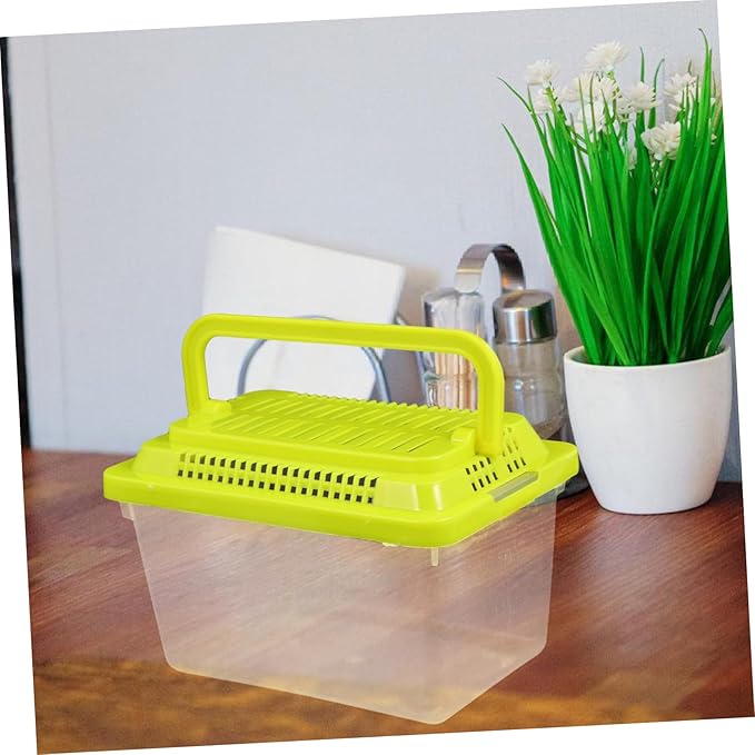 Transparent Plastic Turtle Fish Tank, Reptile Carrier, Feeding Tank, Glass Containers, Amphibia Container, Terrarium, Hamster Cages, Reptiles Commodity Mini