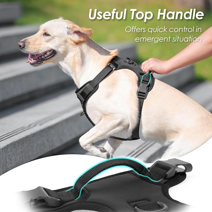 No Pull Dog Harness, Puppy Vest with Front Clip for Small Medium Large Sized Dog (Black,L)