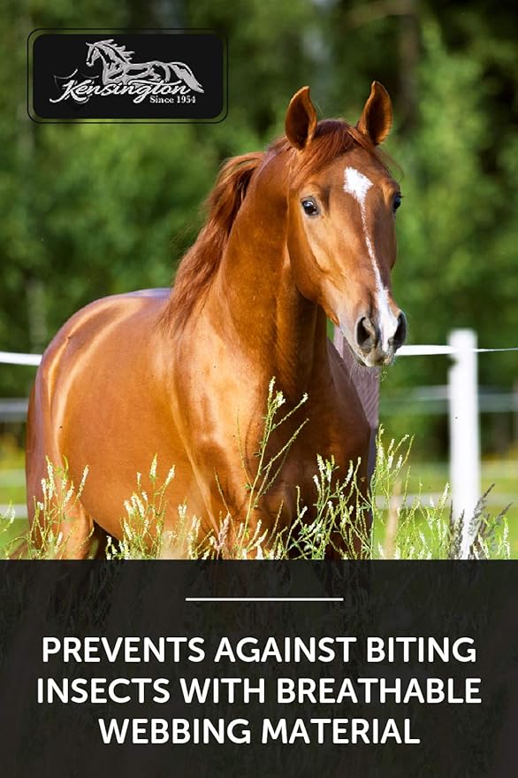 Kensington Fly Mask with Fleece Trim for Horses — Protects Face and Eyes from Flies and Sun Rays While Allowing Full Visibility — Breathable and Non Heat Transferring, X-Large, Tan