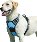 Eagloo Dog Harness for Large Dogs, No Pull Service Vest with Reflective Strips and Control Handle, Adjustable and Comfortable for Easy Walking, No Choke Pet Harness with 2 Metal Rings, Sky Blue, L