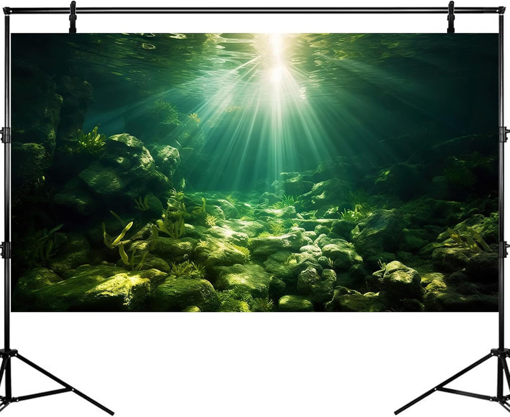 Underwater Sunray Aquarium Background Deep Ocean Rock Cave Fish Tank Background Under The Sea Coral Reef Aquarium Backgrounds Ocean Floor Tropical Fish Terrarium Backgrounds 36x24in