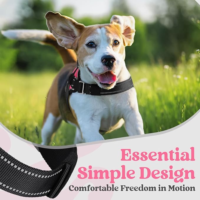 rabbitgoo Dog Harness for Small, Easy On Pet Vest with One Buckle, No Pull Adjustable Service Harness with D-Ring & Handle, Reflective for Safety Walking, Training, Pink, S