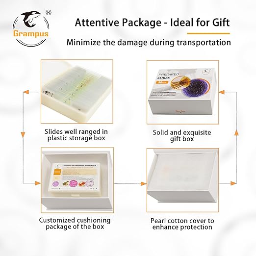 30 Prepared Microscope Slides with Specimens for Kids Students - Plants, for Biological Science Lab, Children's Science Education, Homeschooling Use