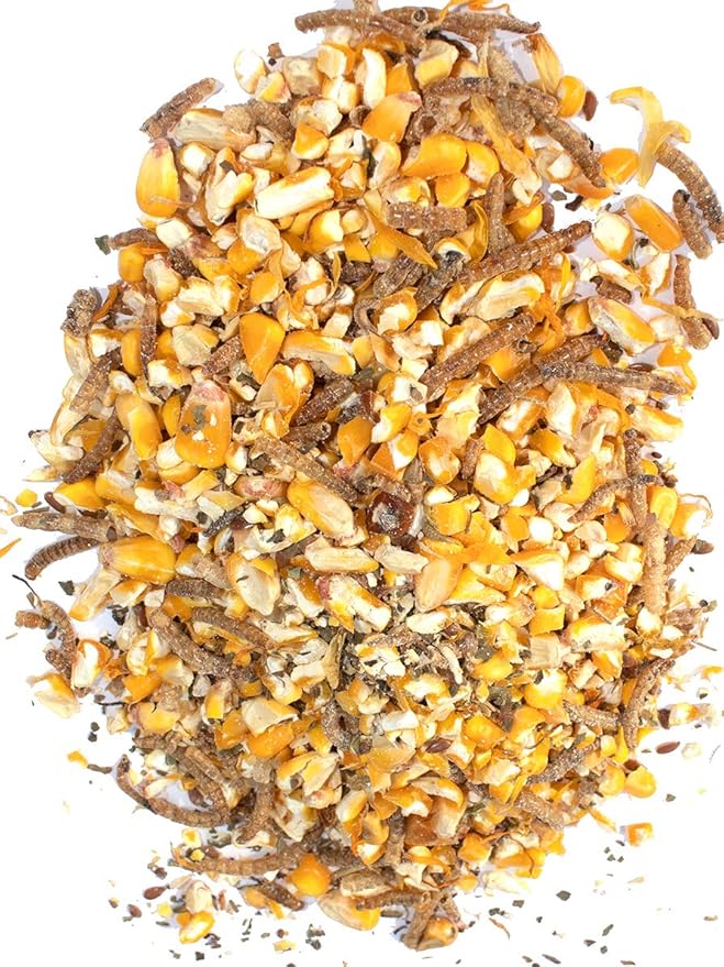 Pampered Chicken Mama Non-GMO Mealworm, Corn, Flax, & Herb Treat (10 Pounds) for Backyard Chickens, Healthy Layer Feed & Supplies for Pet Chickens Poultry Queen Treat for Hens