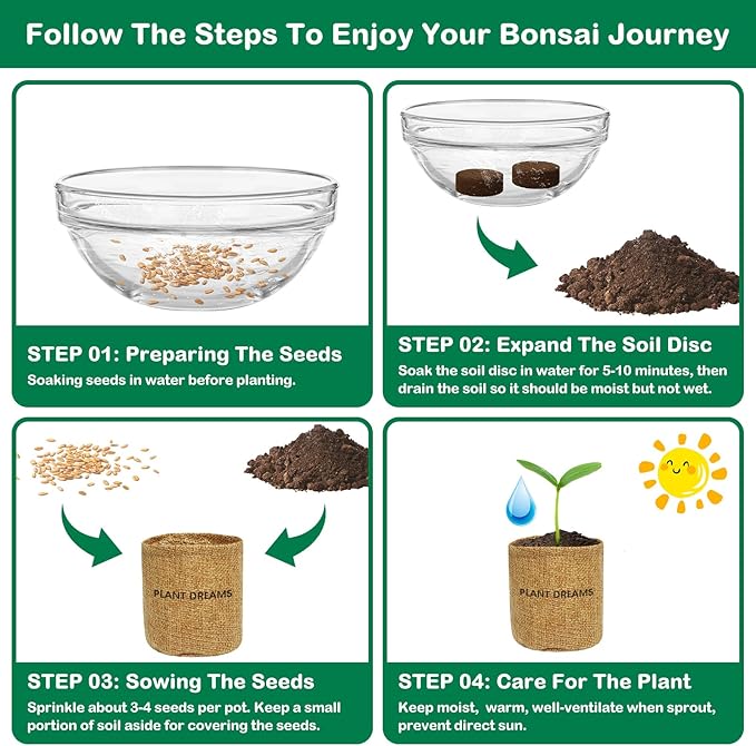 Bonsai Tree Kit, Bonsai Starter Kit for Growing Bonsai Plants with Tools, Grow Bonsai Tree Live Indoor, Garden Crafts Hobby Kits, Unique DIY Gardening Gifts for Men Women Mother