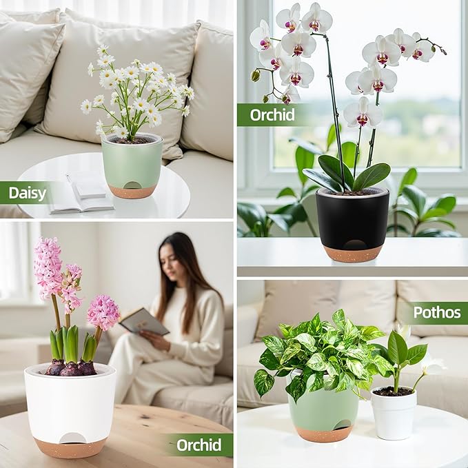 7.2 Inch Self Watering Orchid Pots for Indoor Plants,Macetas para Orqudeas,Flower Pots for Indoor Plants with Holes(Green)