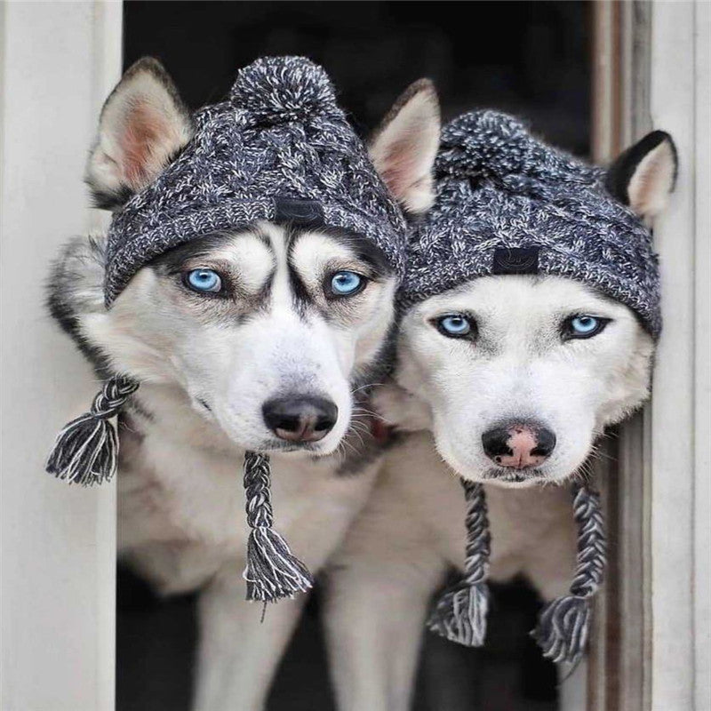 Pet dog autumn and winter woolen hat