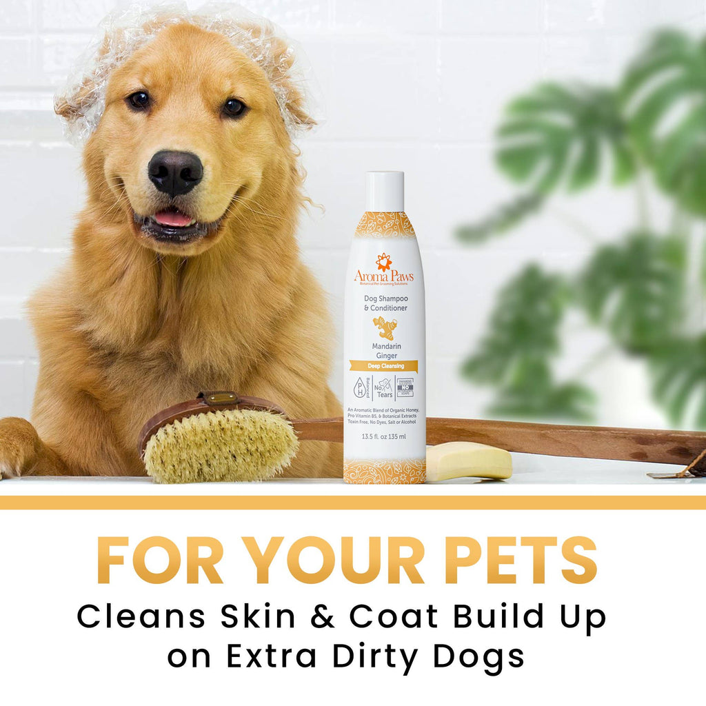 🐾 Mandarin Ginger Shampoo 13.5oz