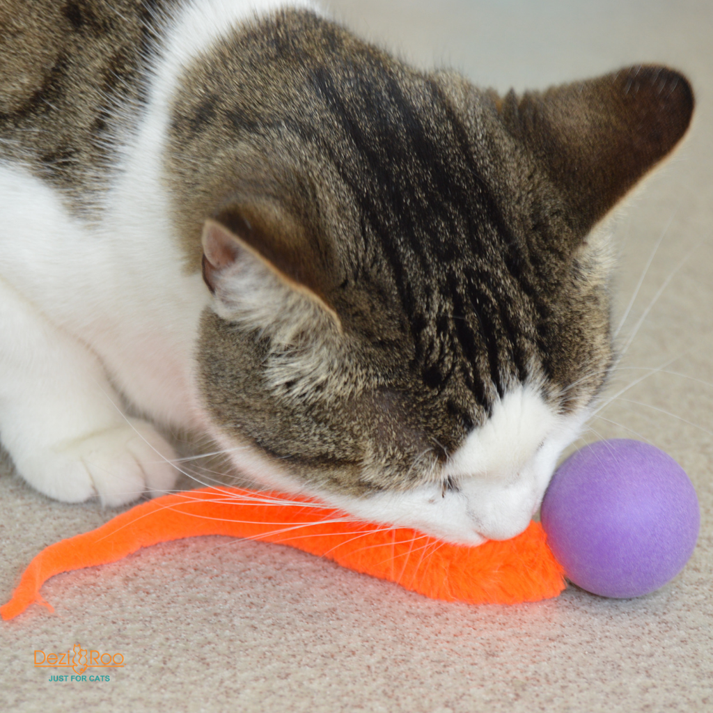 🐱🏓 Wiggly Ping Pong Cat Toy – Rattle Ball with Corkscrew Tail