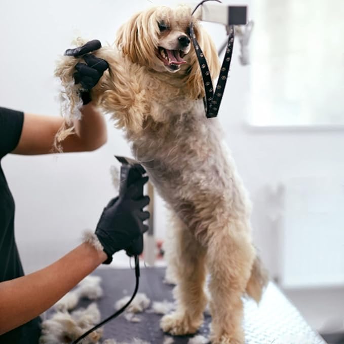 7FC Blades Dog Grooming Clipper Compatible with Andis Pet/Oster A5/Wahl KM Series, Ceramic & Stainless Steel Blade - PhishStones Products